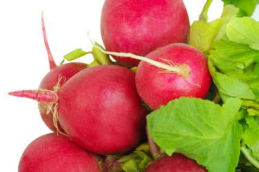 Similar image 1563803