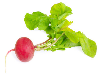 Similar image 1563805