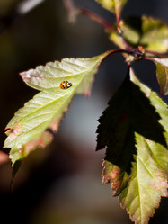 Similar image 1563821