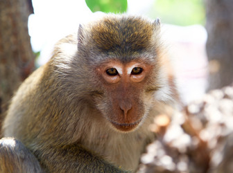 Similar image 1563827