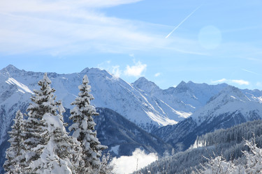 Similar image 1563849