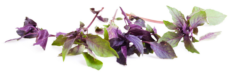 Similar image 1563862