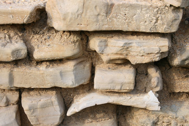 Similar image 1563904