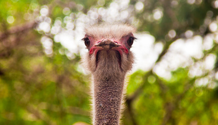 Similar image 1563993