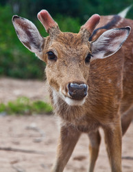 Similar image 1563994