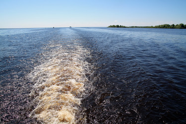 Similar image 1564004