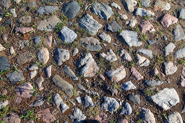 Similar image 1564005