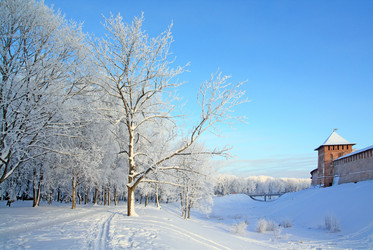 Similar image 1564012