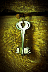 Similar image 1564031