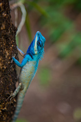 Similar image 1564032