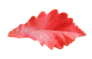 Similar image 1564105