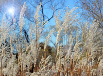 Similar image 1564109