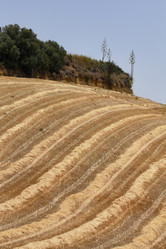 Similar image 1564122