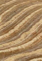 Similar image 1564124