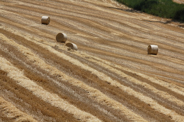 Similar image 1564131