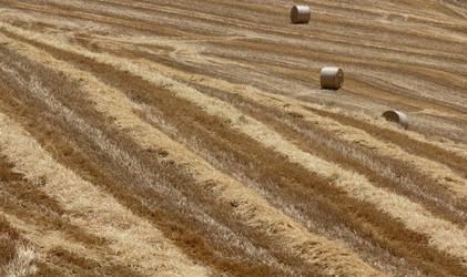 Similar image 1564142