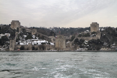 Similar image 1564146