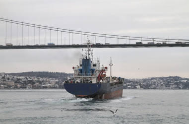 Similar image 1564148