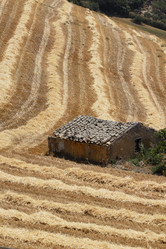 Similar image 1564153