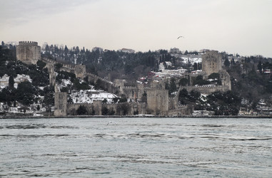 Similar image 1564163