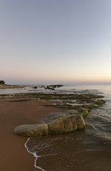 Similar image 1564181