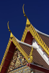 Similar image 1564219