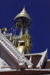 Similar image 1564243