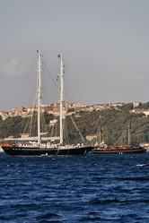 Similar image 1564246