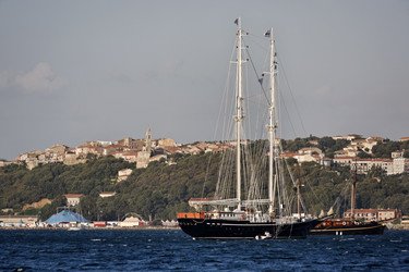 Similar image 1564251