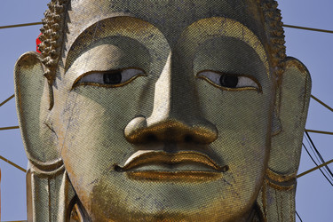 Similar image 1564259