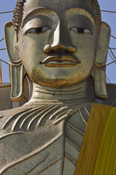 Similar image 1564264