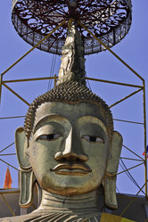 Similar image 1564272