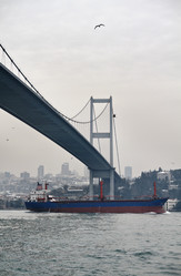 Similar image 1564295