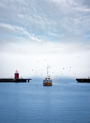 Similar image 1564313