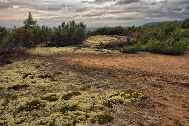 Similar image 1564324