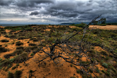 Similar image 1564325