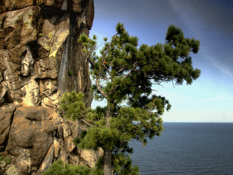 Similar image 1564334