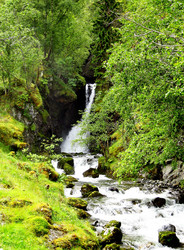 Similar image 1564335