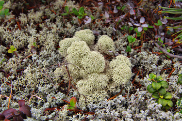 Similar image 1564342