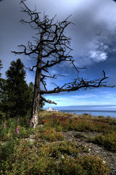 Similar image 1564344