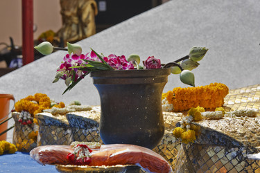 Similar image 1564356