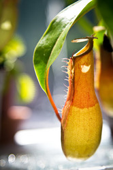 Similar image 1564377