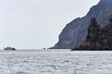 Similar image 1564393