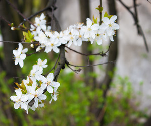 Similar image 1564403