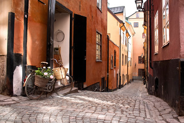 Similar image 1564451