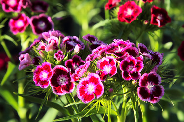 Similar image 1564453