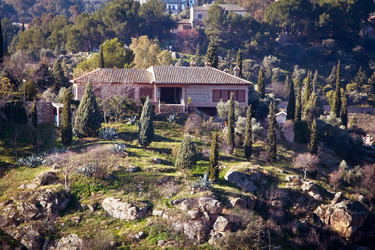 Similar image 1564454