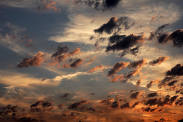 Similar image 1564487