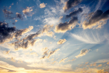 Similar image 1564492