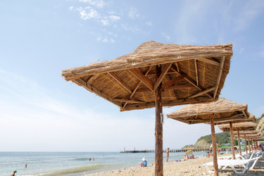 Similar image 1564500